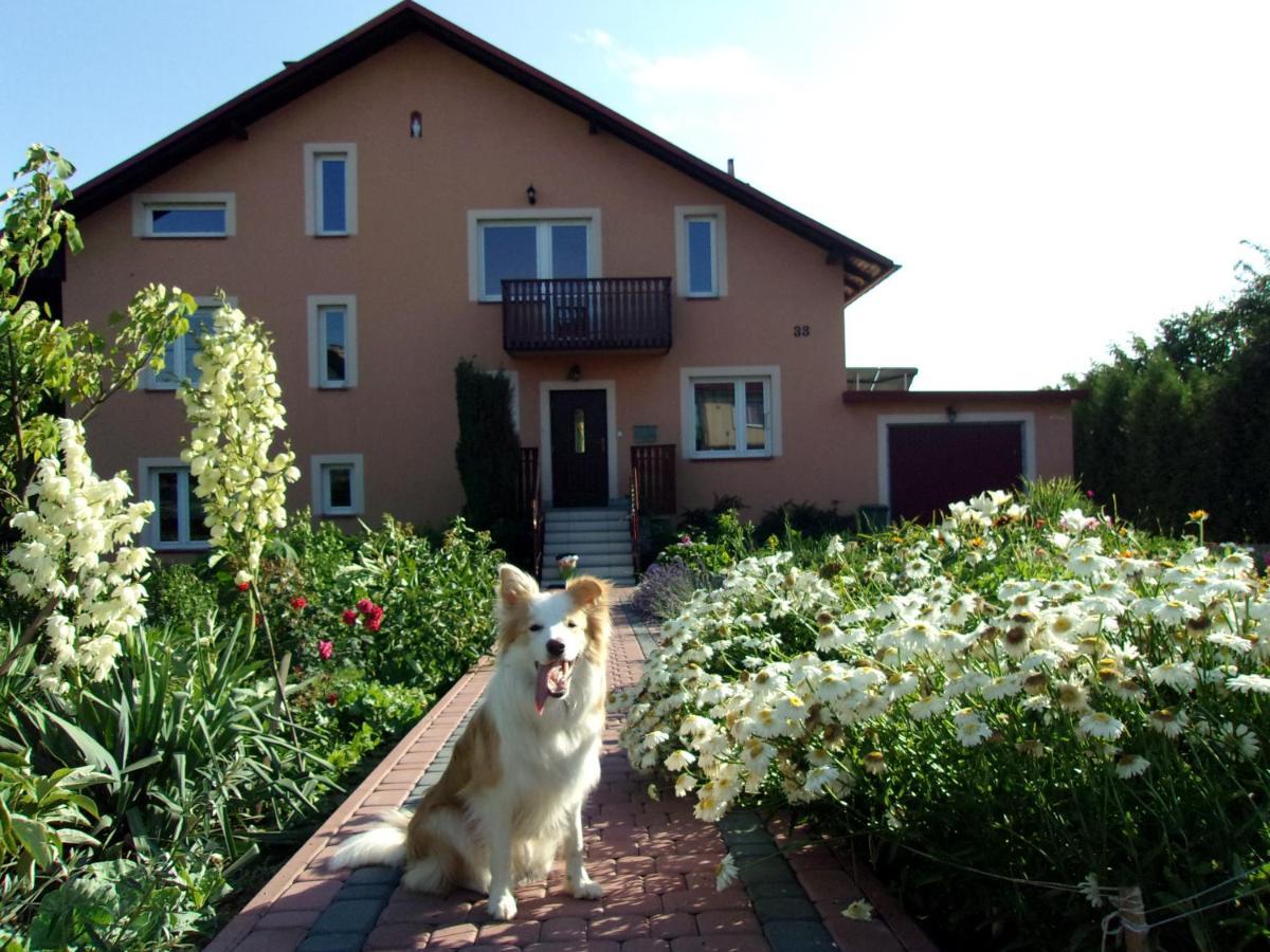 Agroturystyka U Basi Wola Kalinowska Extérieur photo